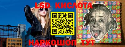 крисы Брянск