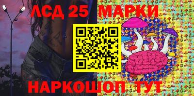 крисы Брянск