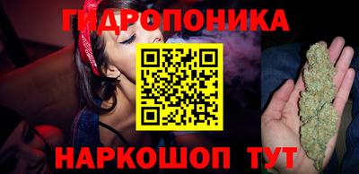 крисы Брянск